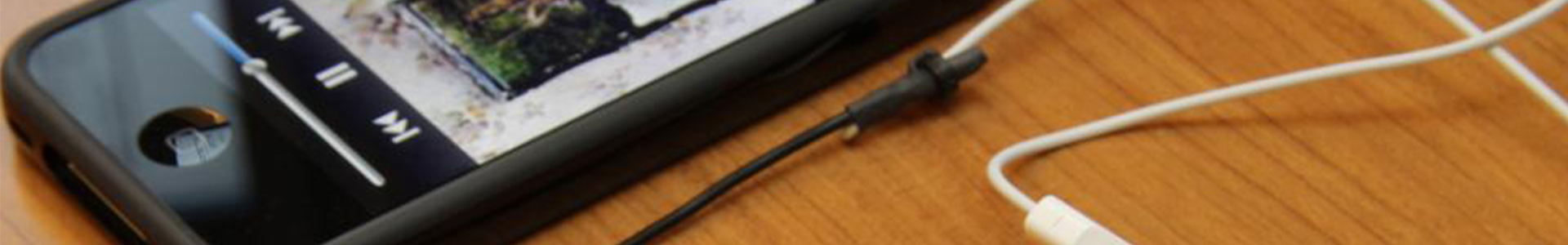 page banner